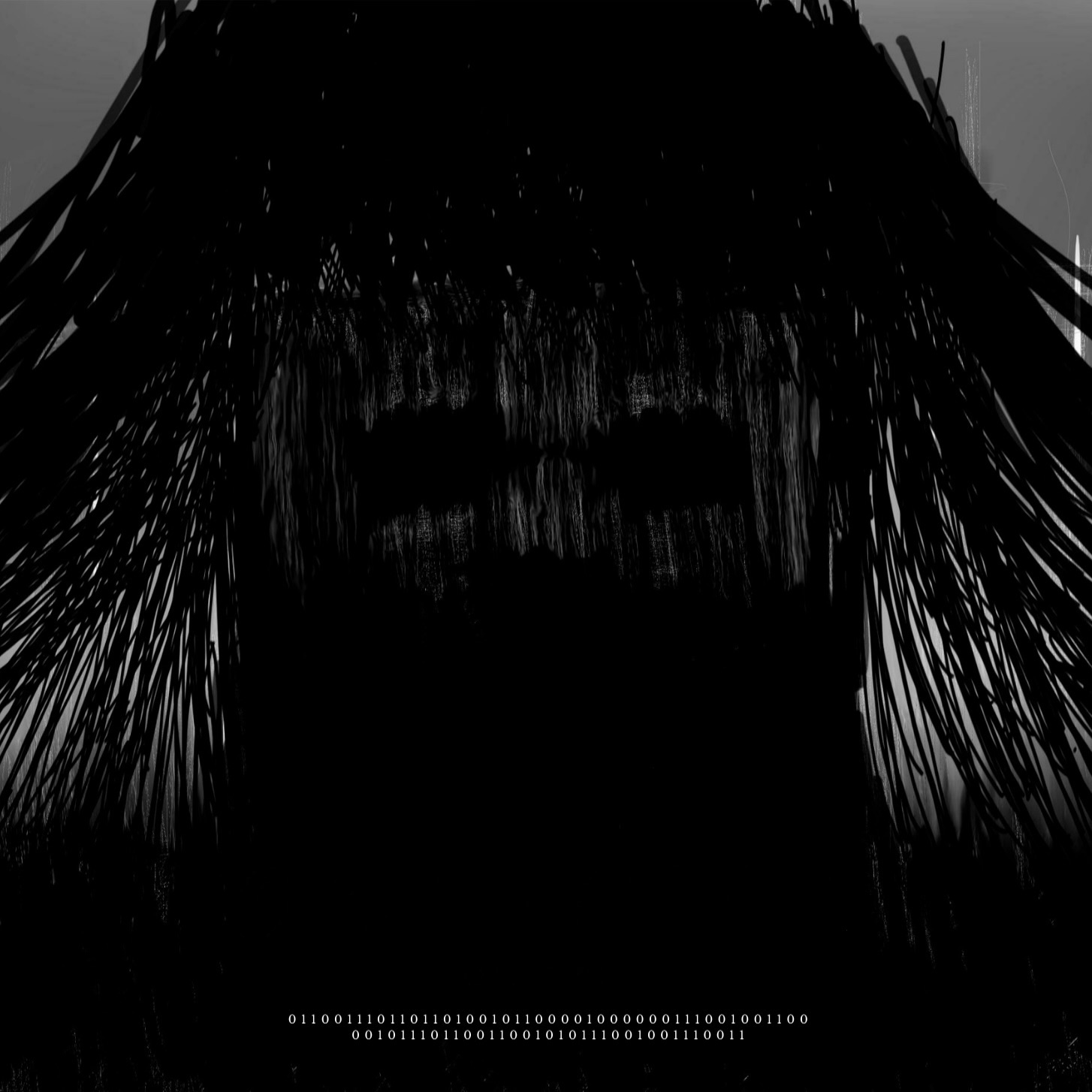 0x01000111 artist cover